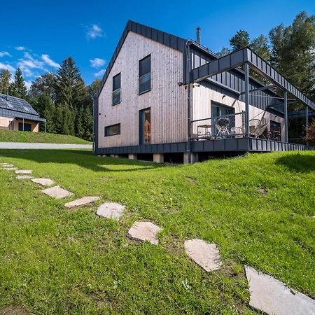 Holiday House U Hajenky 13P Lipno Home ลิปโนนัดเวิลตาวู ภายนอก รูปภาพ
