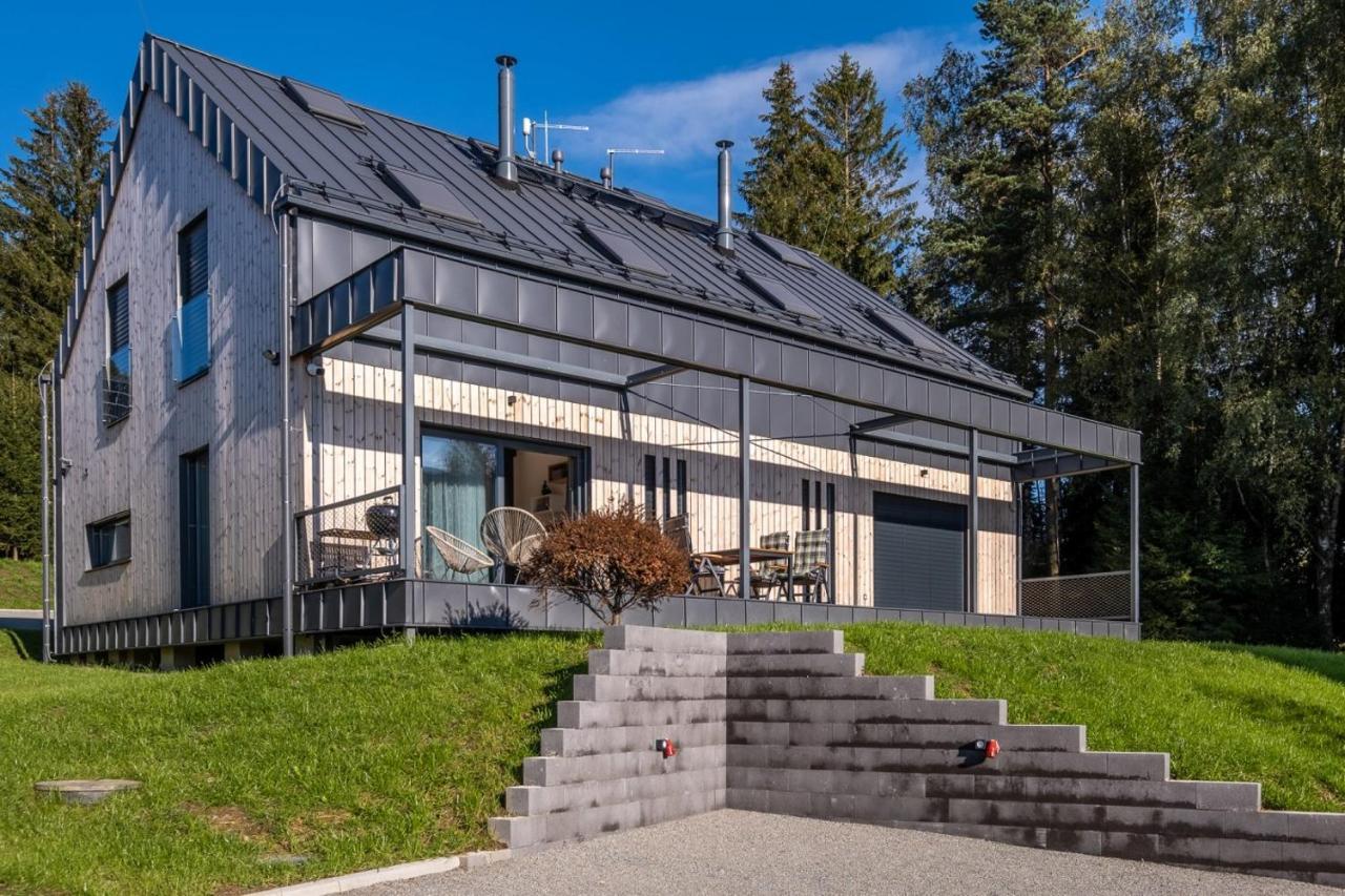 Holiday House U Hajenky 13P Lipno Home ลิปโนนัดเวิลตาวู ภายนอก รูปภาพ