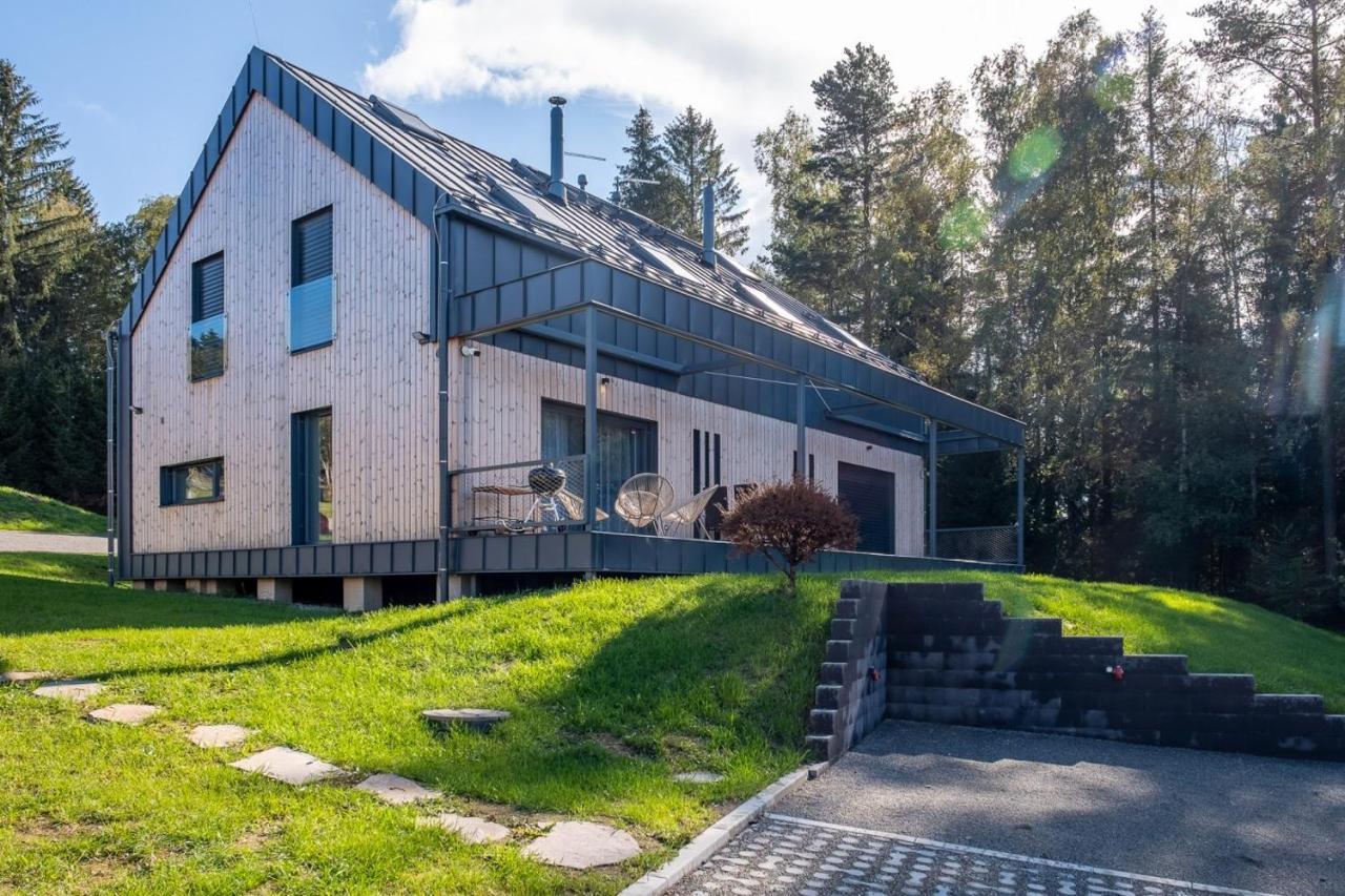 Holiday House U Hajenky 13P Lipno Home ลิปโนนัดเวิลตาวู ภายนอก รูปภาพ